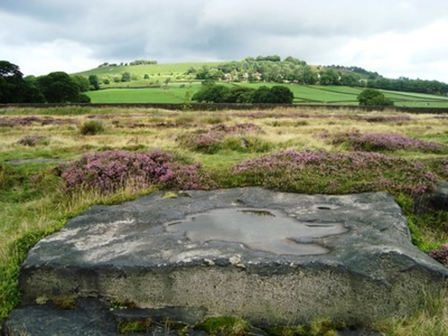 An image depicting the trail Hope Hill and Walker Wood Loop and its surrounding area.