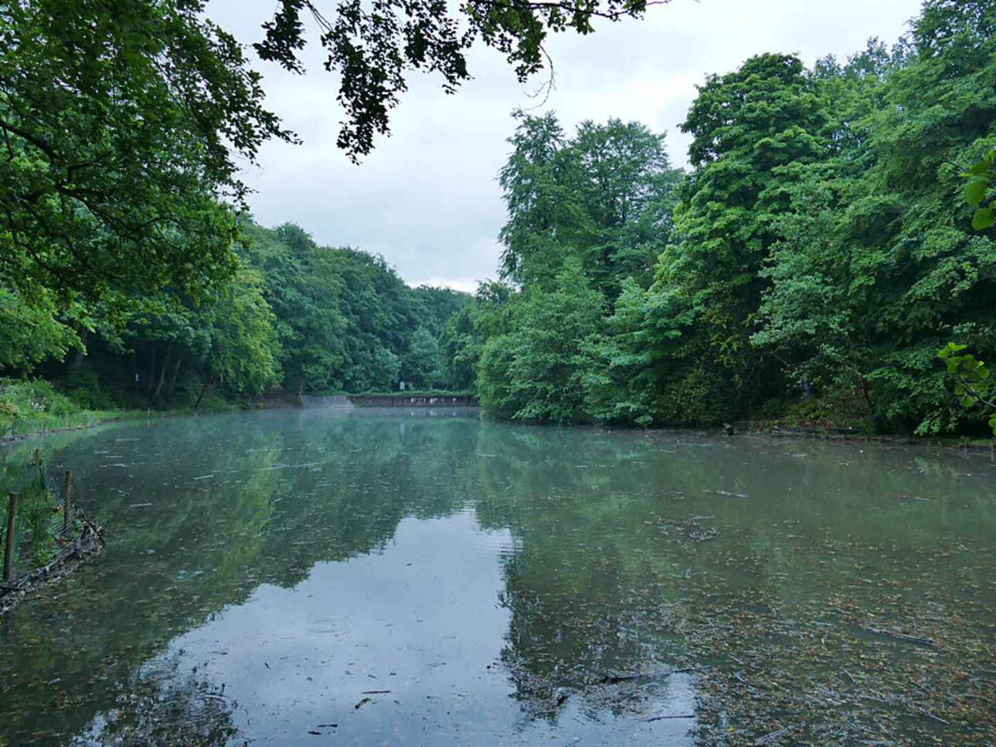 An image depicting the trail Gledhow Valley Woods Walk and its surrounding area.
