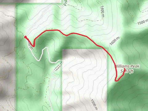 Williams Peak Out and Back