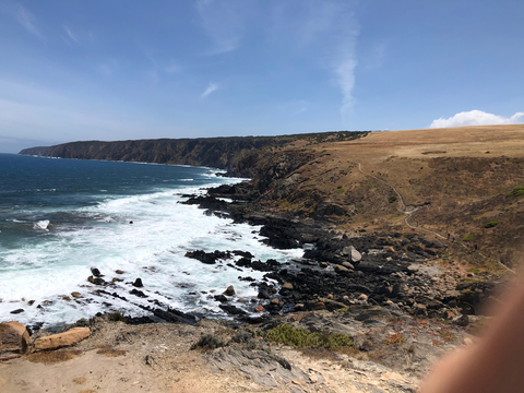 An image depicting the trail Boat Harbor Track and its surrounding area.