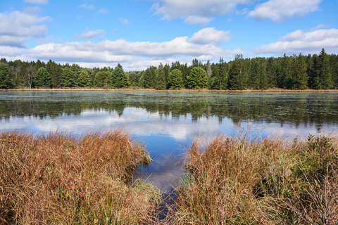 An image depicting the trail Penoke Path via Seldom Seen Trail and its surrounding area.