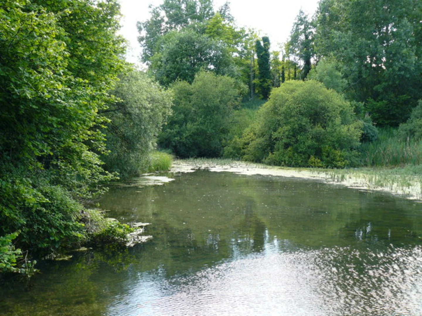 An image depicting the trail River Anton and Anton Lakes Path and its surrounding area.