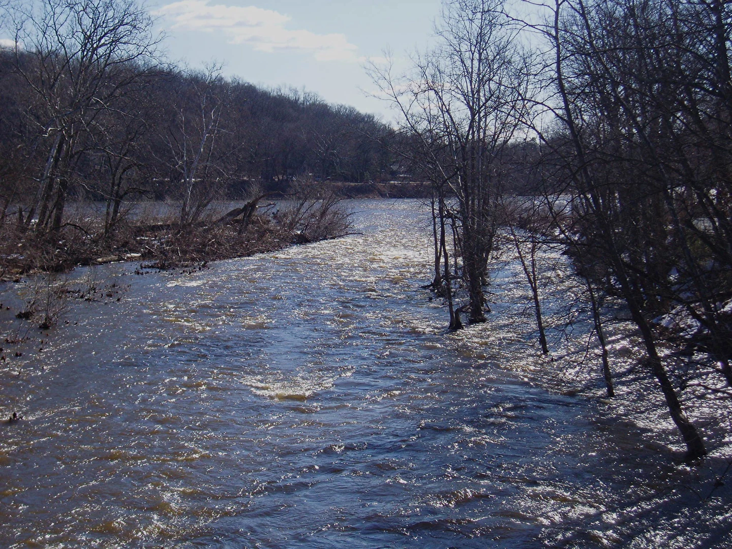 An image depicting the trail Tohickon Creek from Tory Road and its surrounding area.