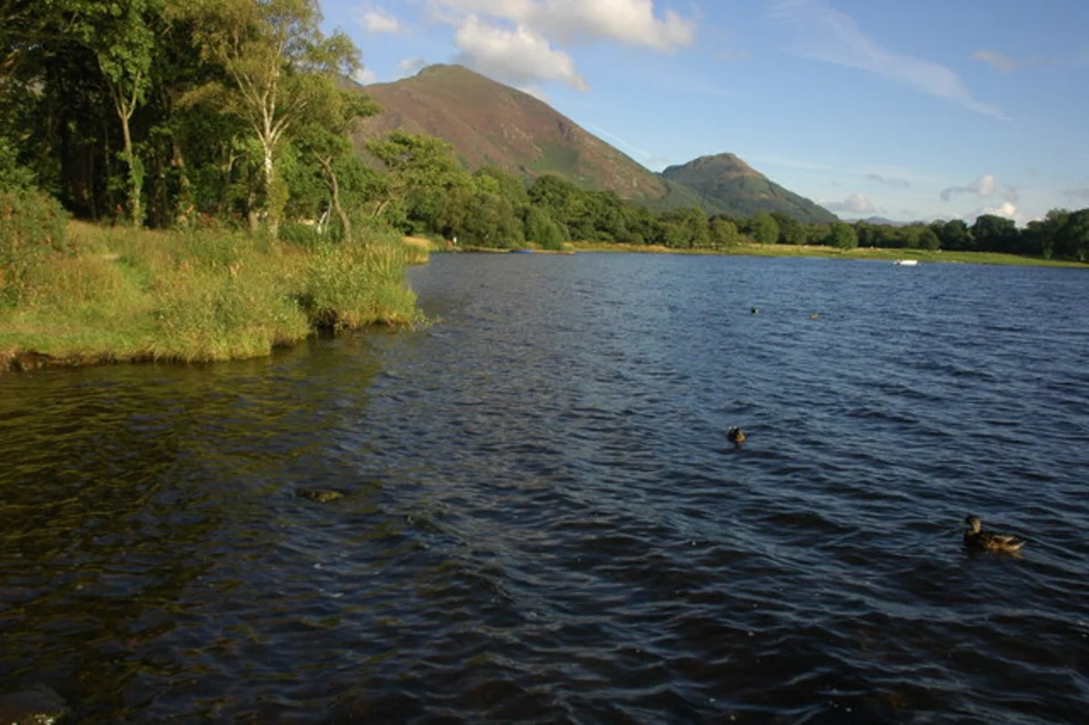 Bassenthwaite Lake, Lakeside Wood and Moss Wood Walk