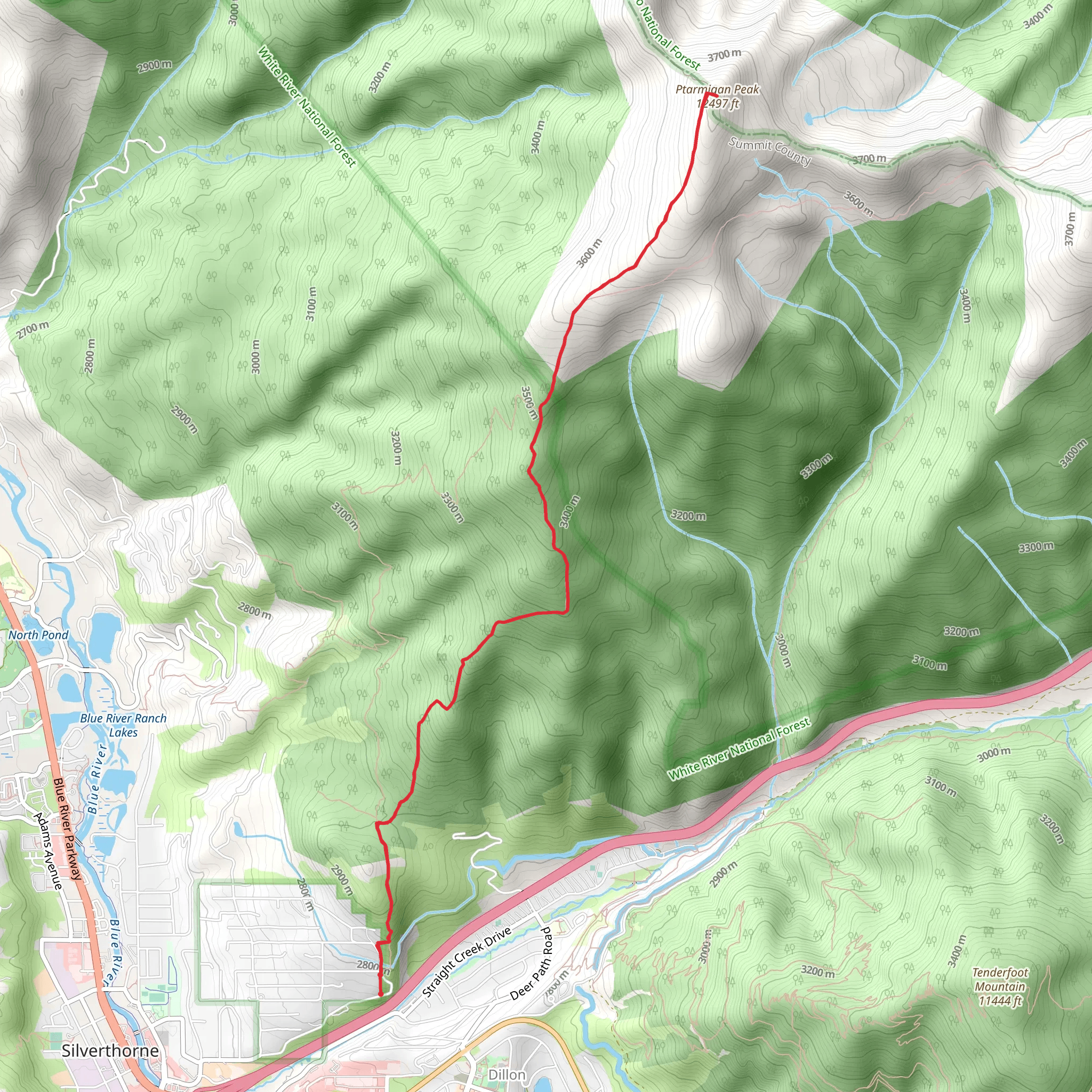 Ptarmigan Peak mobile static map