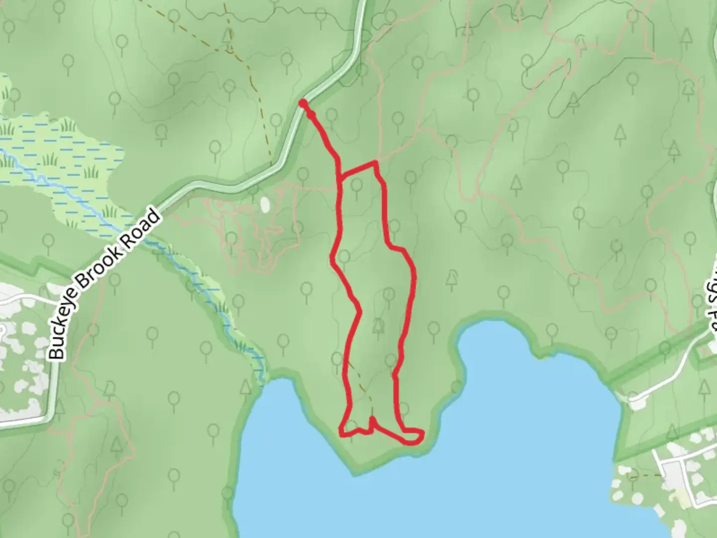 An image depicting the trail Watchaug Pond North Shore Loop from Buckeye Brook Road and its surrounding area.
