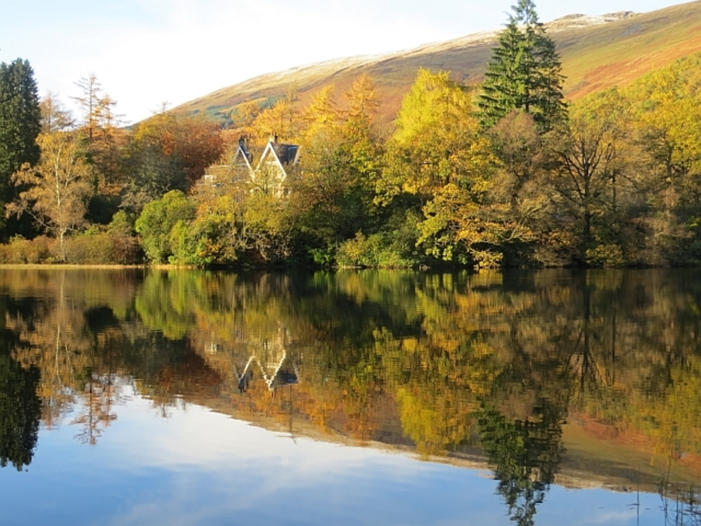 An image depicting the trail 8 Mile Loop and Loch Ard Trail and its surrounding area.