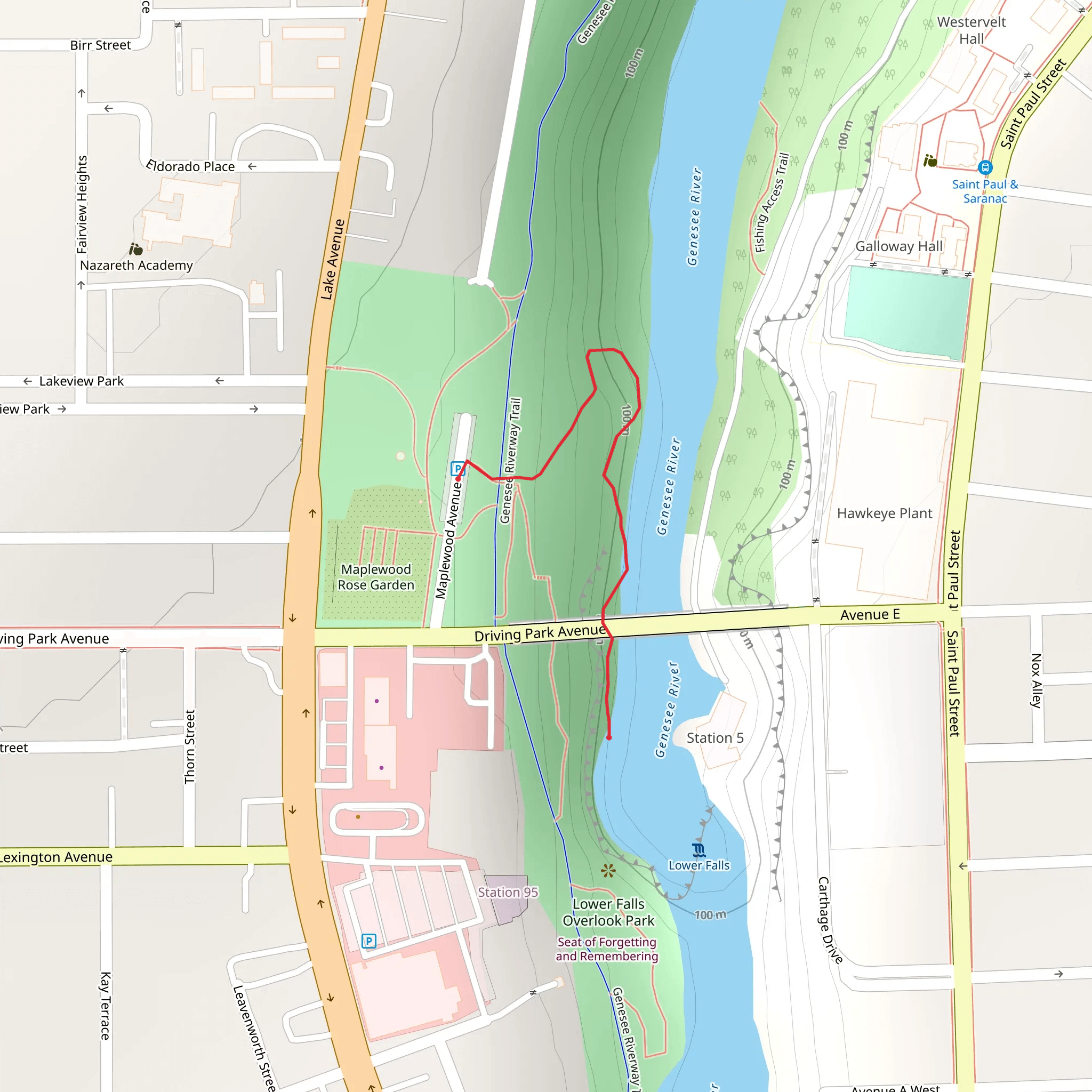 Genesee River View mobile static map