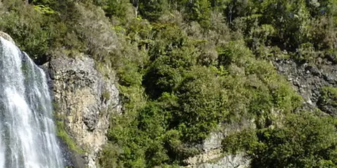 An image depicting the trail Massey Cossey Loop Track and its surrounding area.