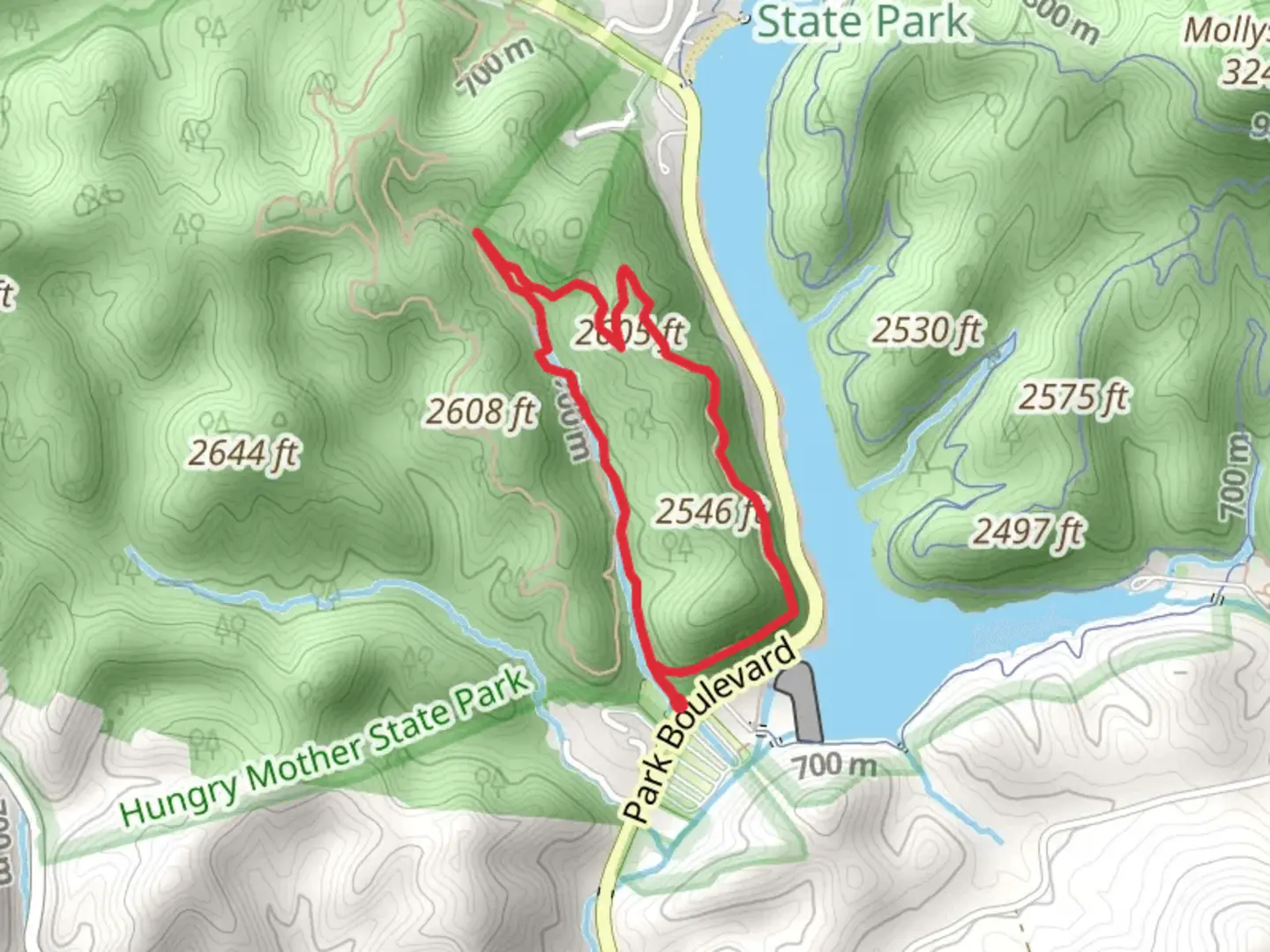 An image depicting the trail Clyburn Ridge Loop Trail and its surrounding area.
