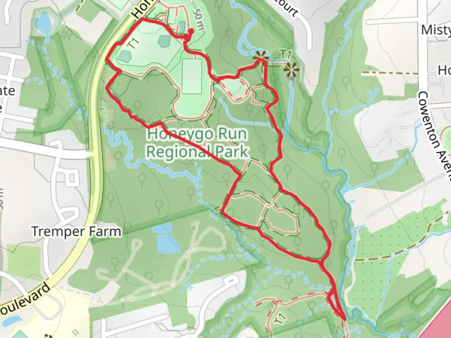 An image depicting the trail Red and Green Loop Trail and its surrounding area.