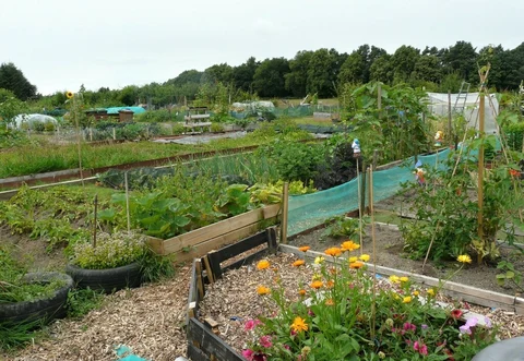 Muiravonside Country Park Loop