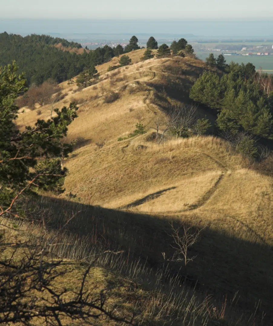 An image depicting the trail Wanderwege Vogeltal Loop and its surrounding area.