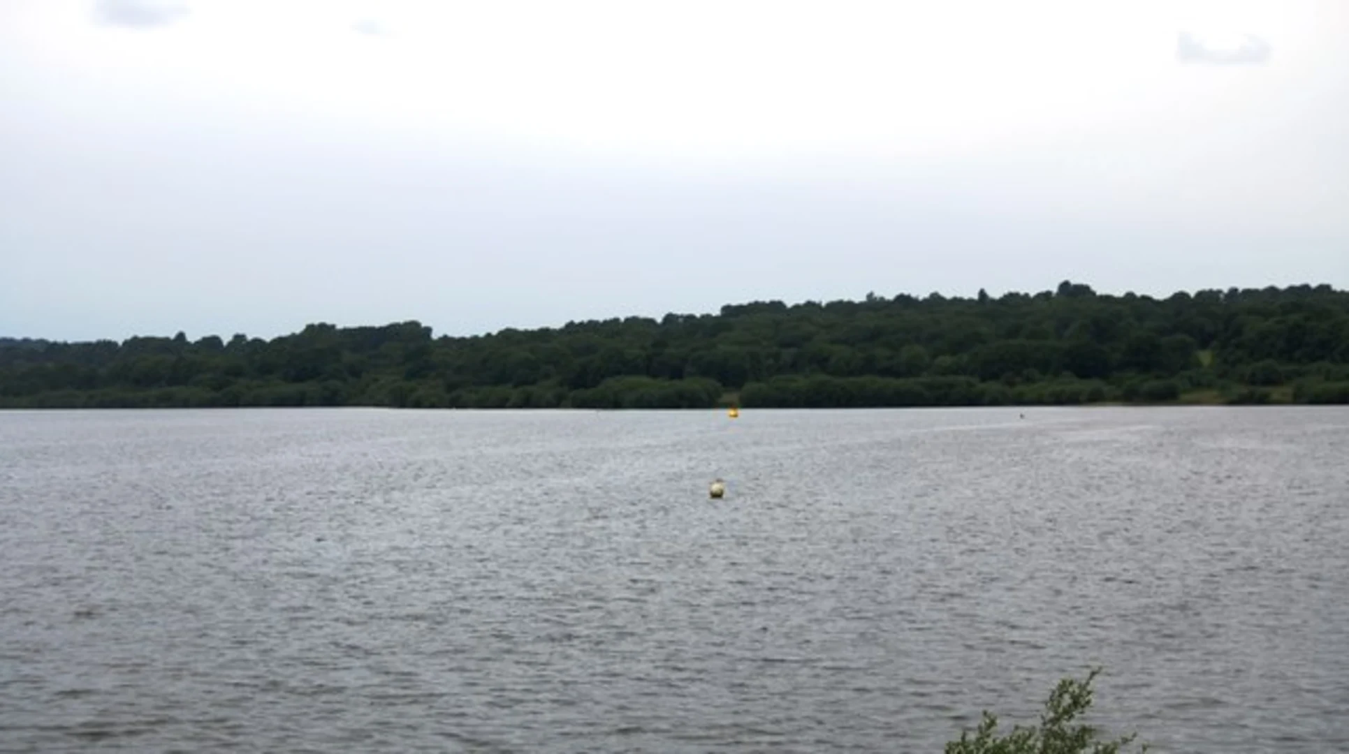 An image depicting the trail Saint Hill Green CIrcular and its surrounding area.