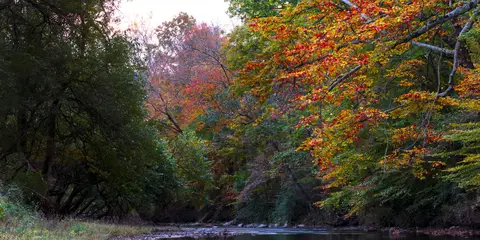 An image depicting the trail Mason Dixon Trail - Delaware and White Creek and its surrounding area.