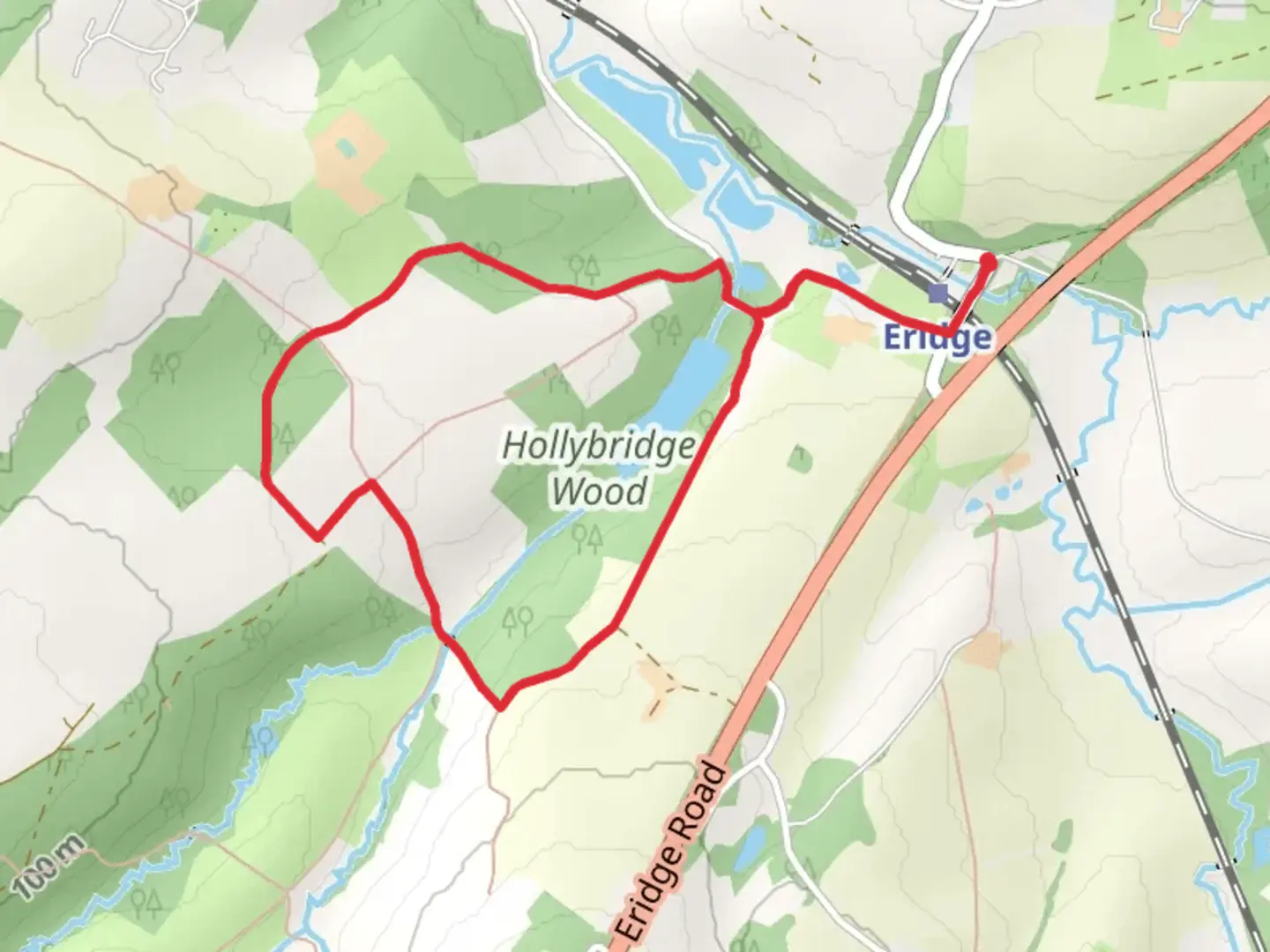 An image depicting the trail Hollybridge Wood Loop - Eridge and its surrounding area.
