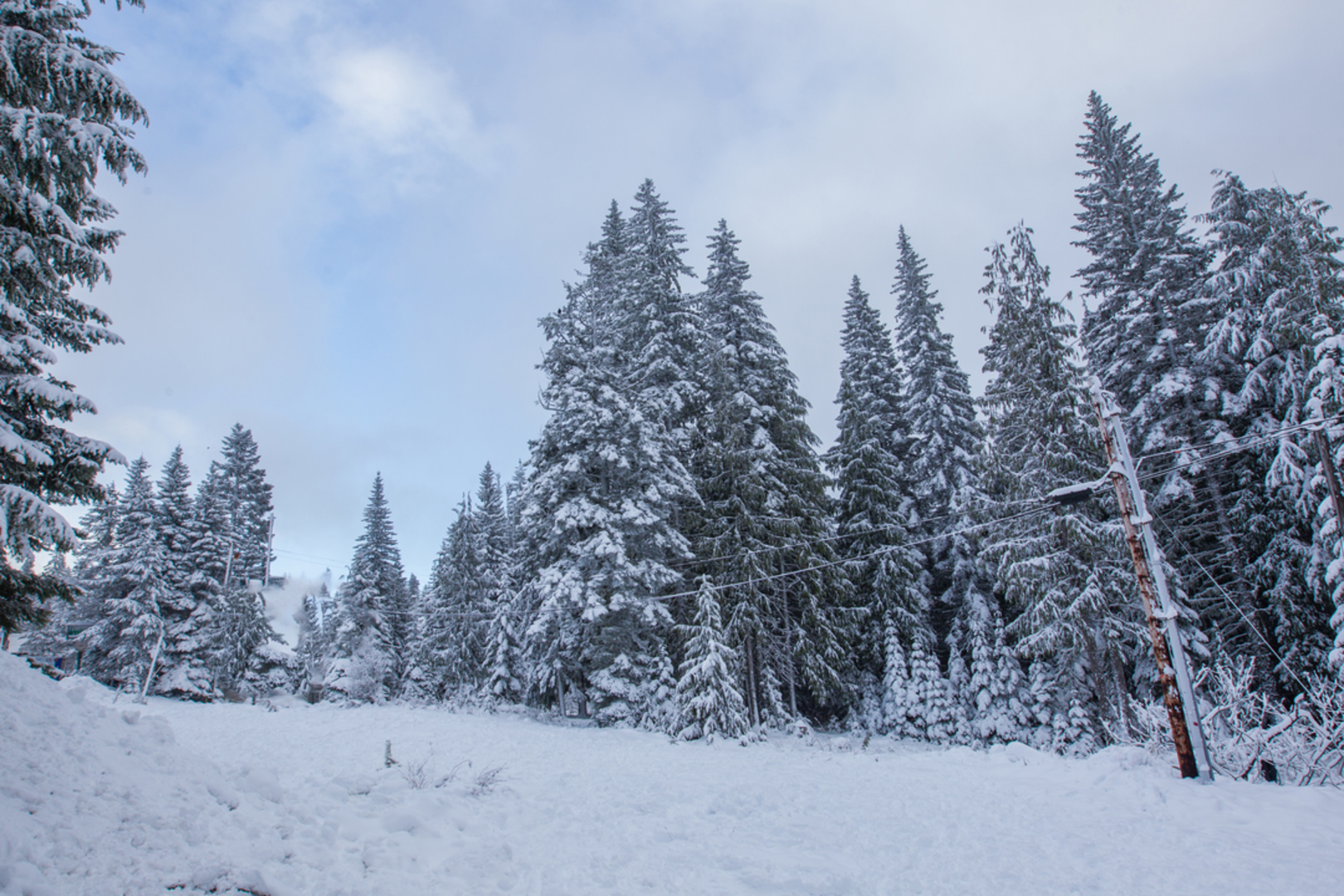 An image depicting the trail Camp Creek Trail and its surrounding area.