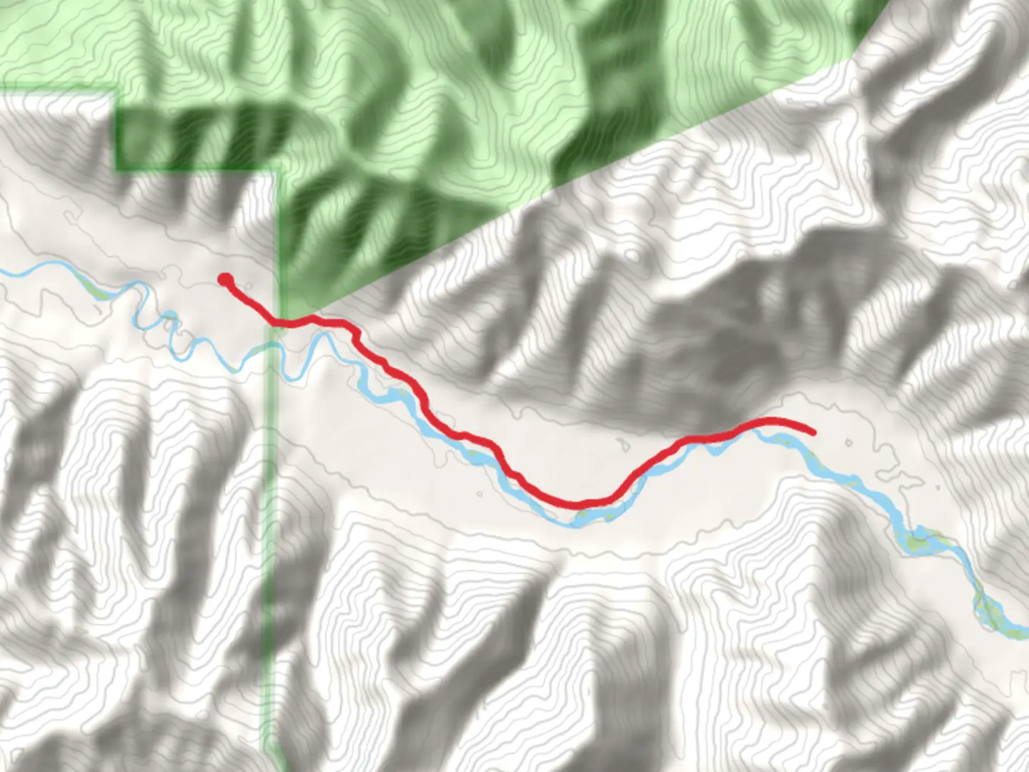 An image depicting the trail South Fork Hoh River Trail and its surrounding area.
