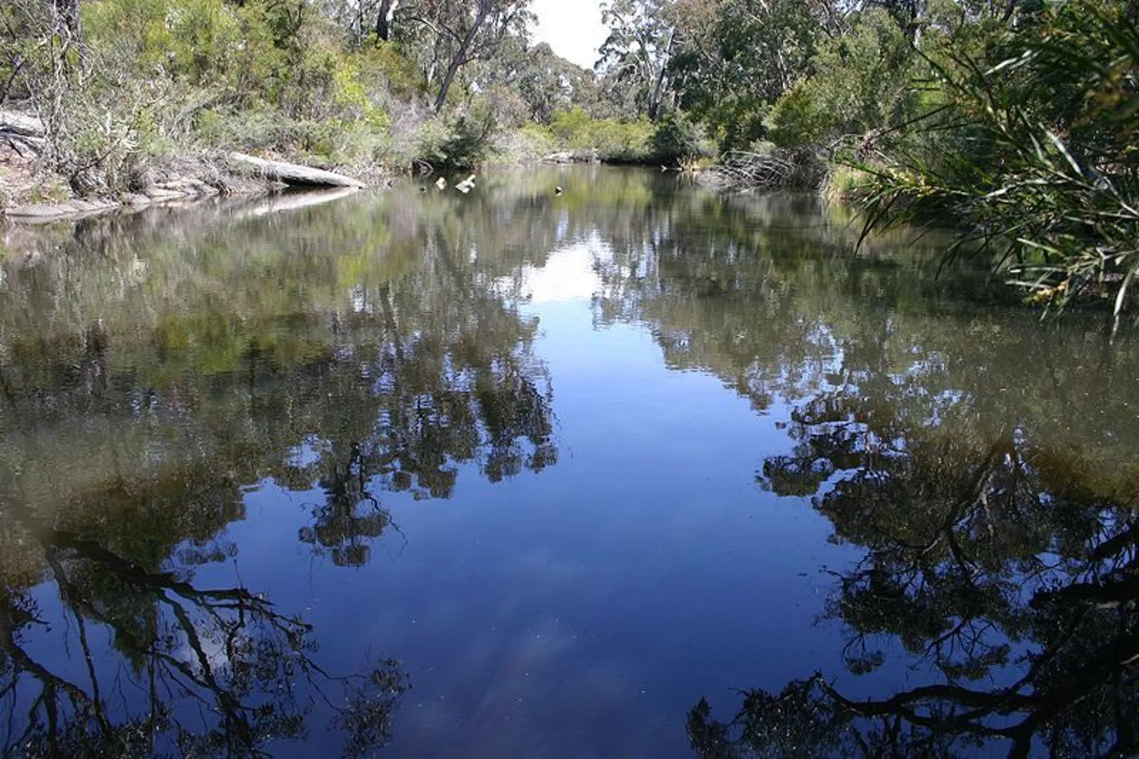 An image depicting the trail Dr Roberts Waterhole Walk and its surrounding area.