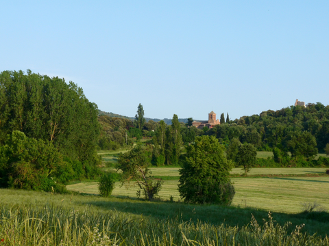 From Brull to Collformic SL C 85