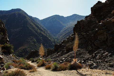 An image depicting the trail Heaton Flats Trail and its surrounding area.