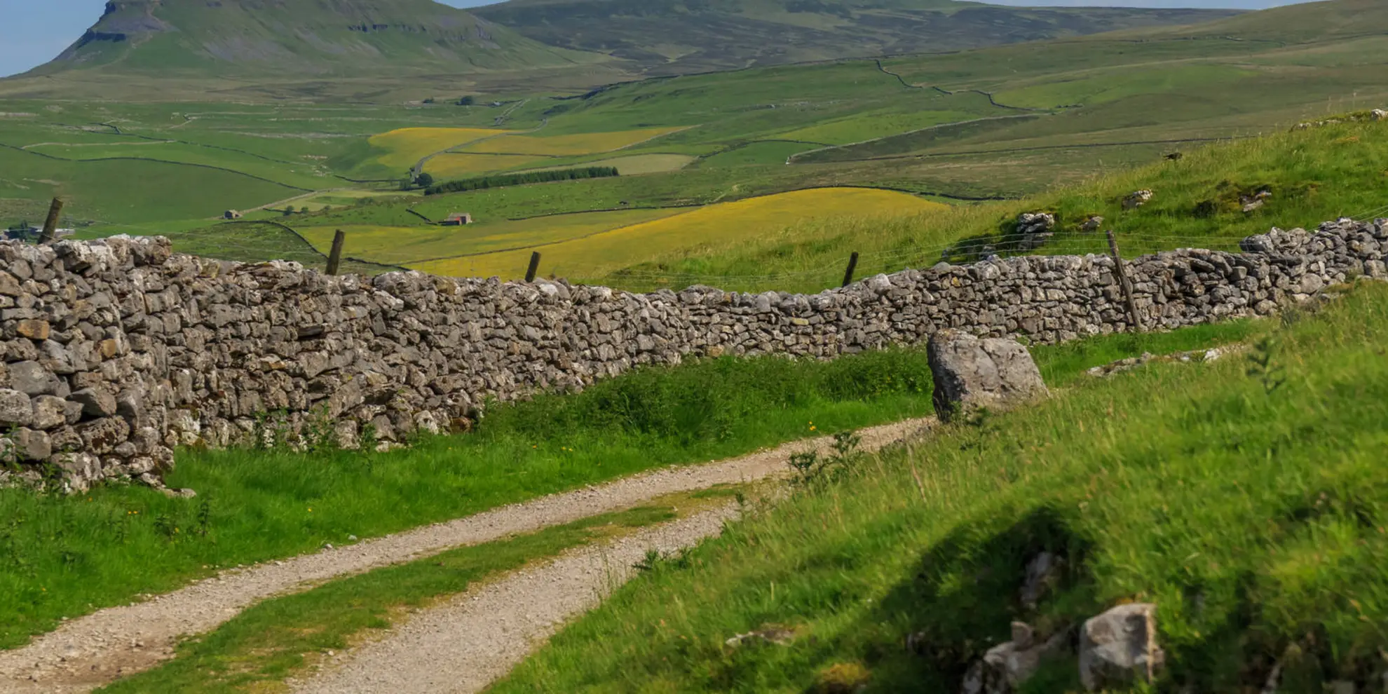 An image depicting the trail Peatlands Way and its surrounding area.