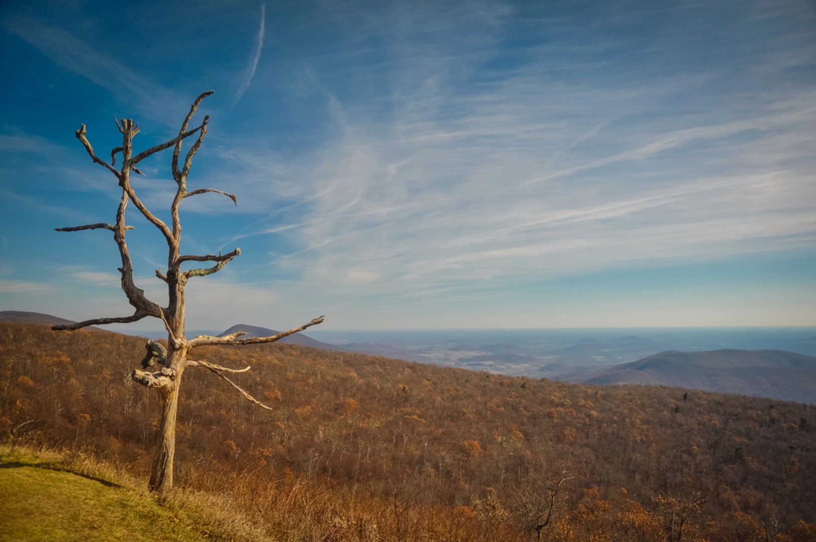 An image depicting the trail Sugarloaf Loop via Piney Branch and Appalachian Trails and its surrounding area.