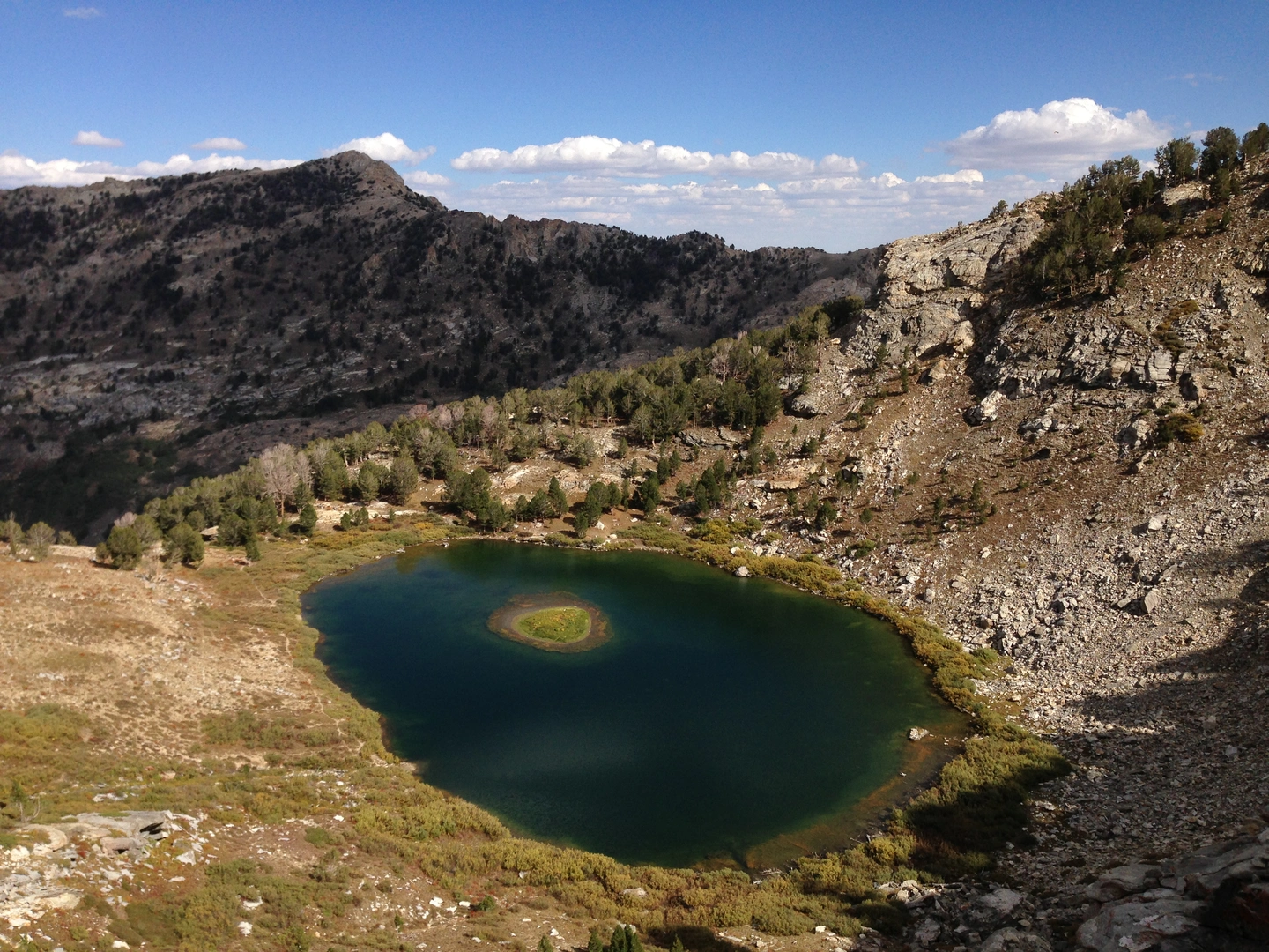 An image depicting the trail Feeley Lake, Lower Rock Lake and Lindsey Lakes Loop and its surrounding area.