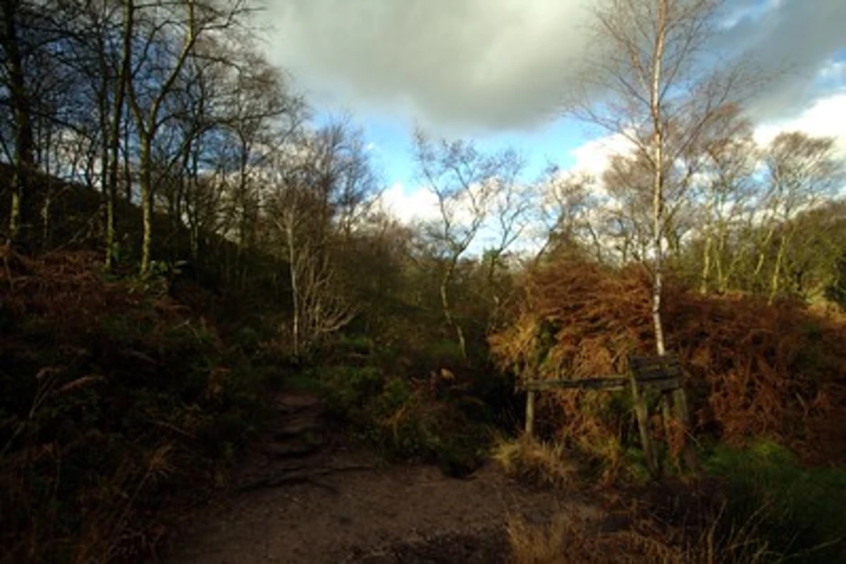 The Roaches and Lud's Church Loop