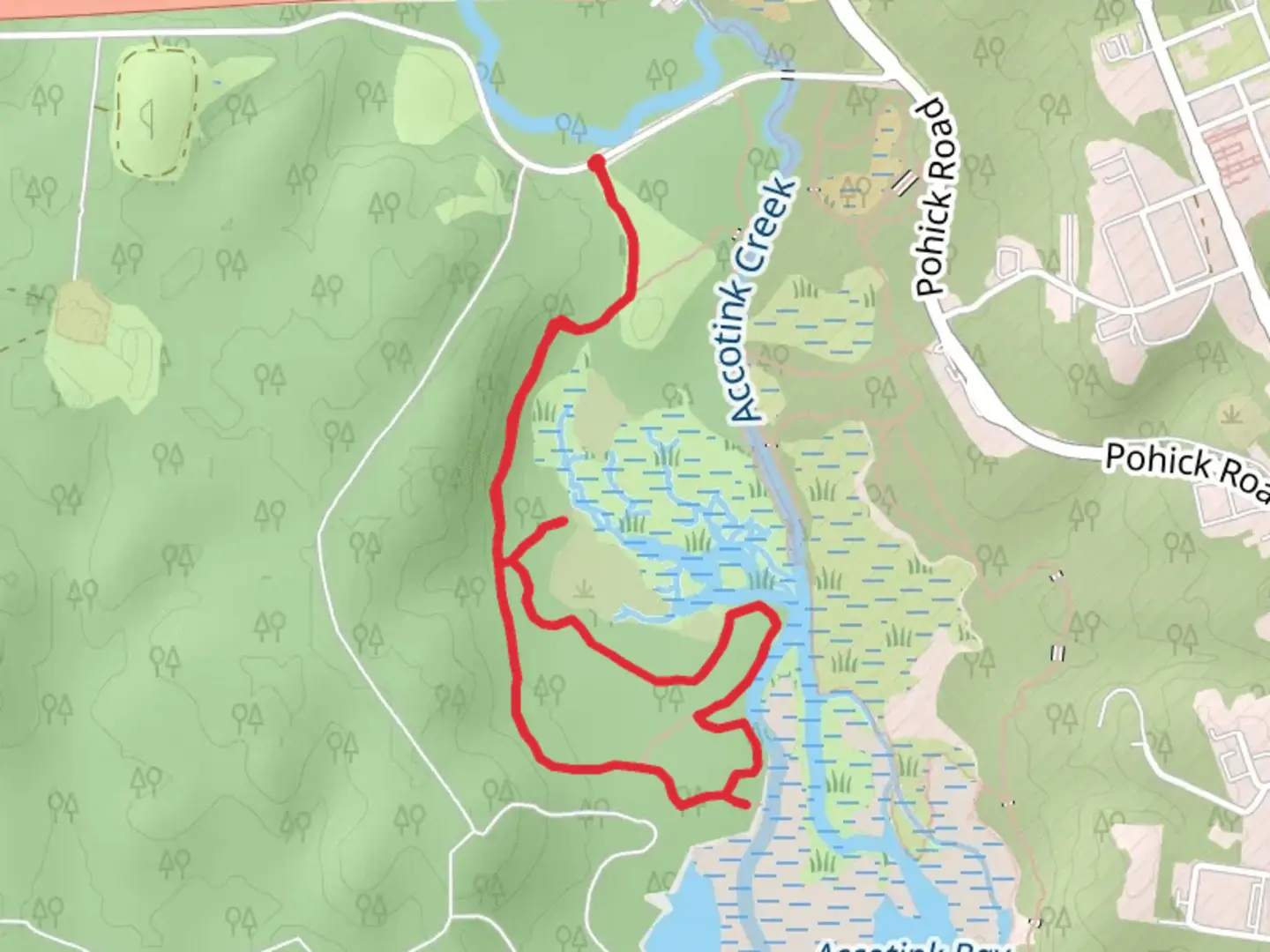 An image depicting the trail Marsh Overlook and McCarthy Loop Trail and its surrounding area.