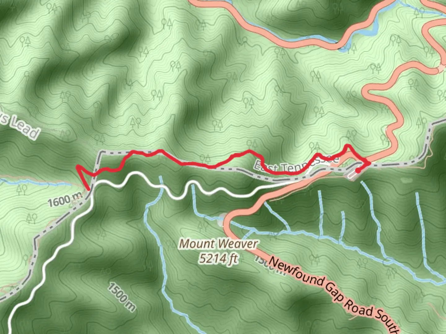An image depicting the trail Appalachian Trail and Indian Gap and its surrounding area.