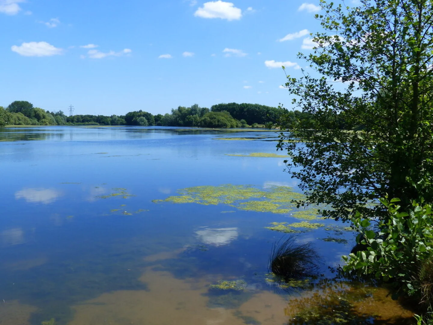 An image depicting the trail Delapre Abbey Park and its surrounding area.