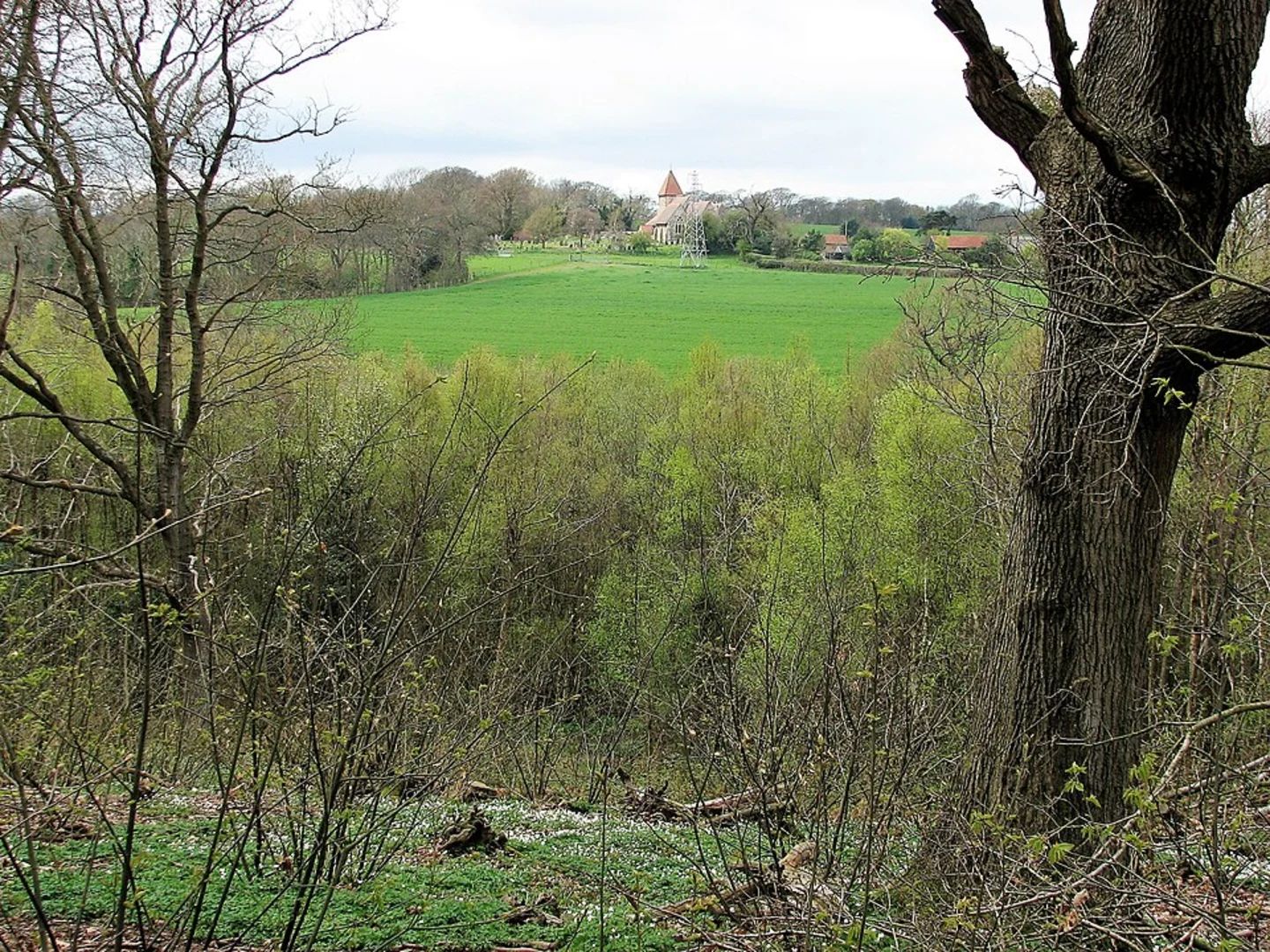 An image depicting the trail St Laurence Church Walk - Guestling and its surrounding area.