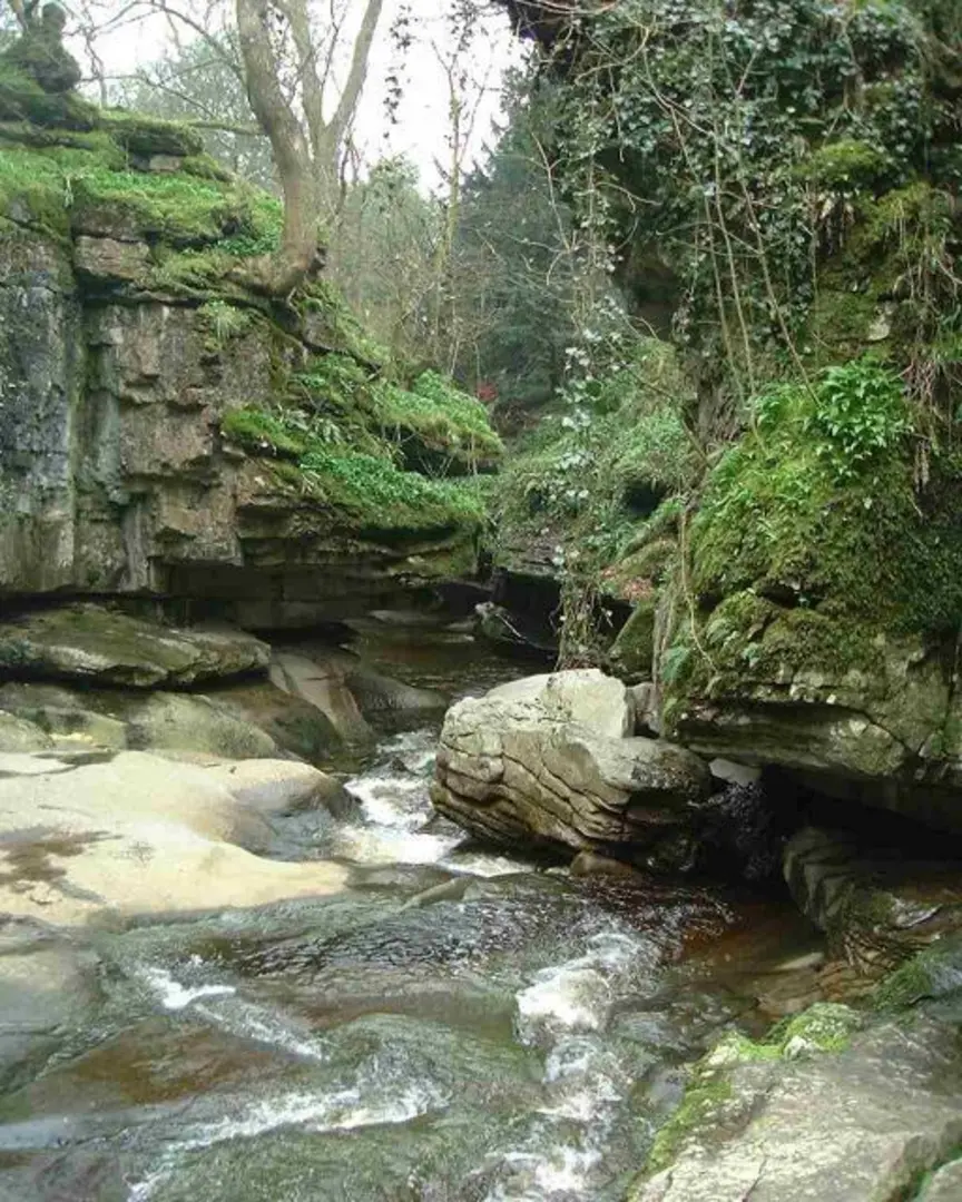 An image depicting the trail How Stean Gorge Walk and its surrounding area.