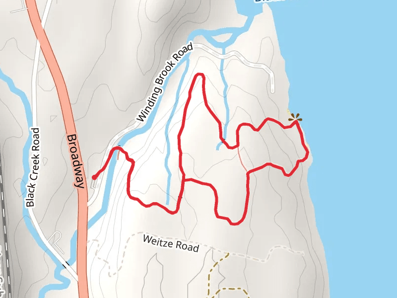 Black Creek Preserve Loop Trail