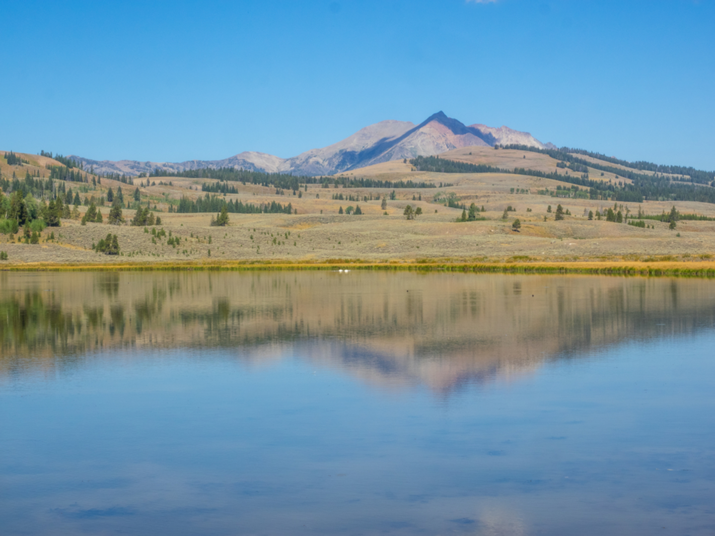 An image depicting the trail Sixmile Lookout Trail and its surrounding area.