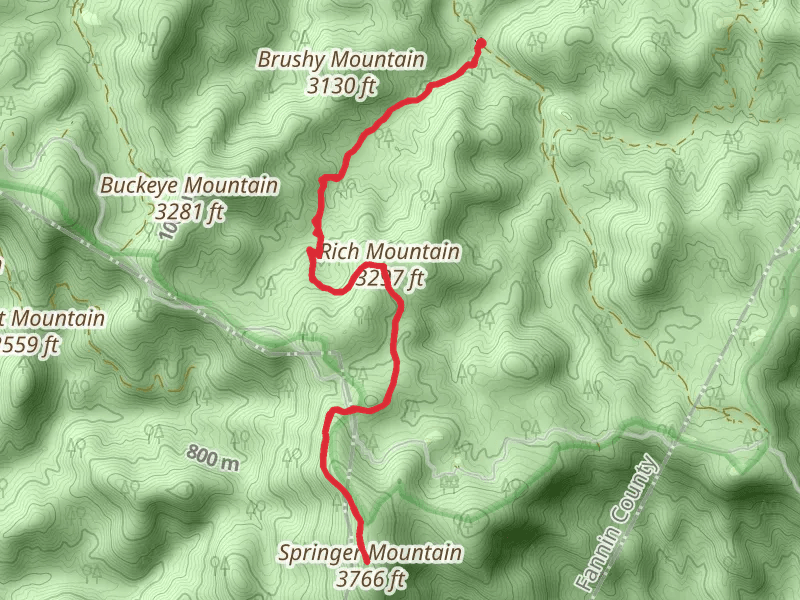 Springer Mountain via Appalachian Trail