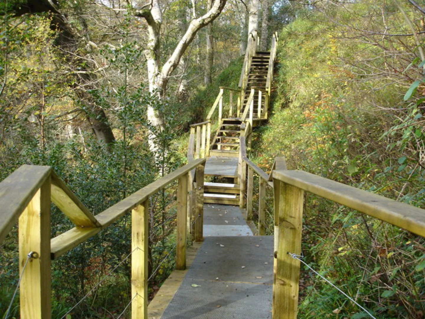 An image depicting the trail Ness, Ervey and Burntollet and its surrounding area.