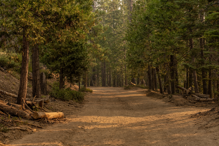 Crane Flat Fire Road