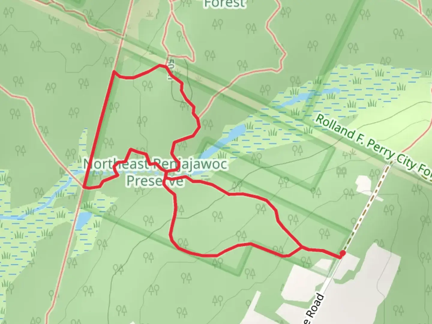 An image depicting the trail Bangor City Forest Loop and its surrounding area.