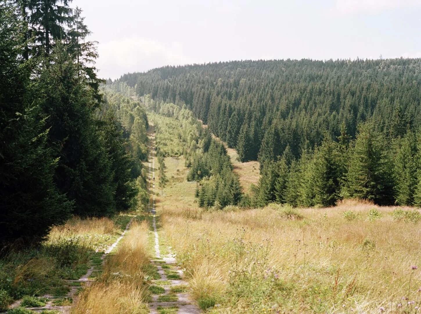 An image depicting the trail Ottiliaeschacht and Reinhard-Roseneck-Weg Loop and its surrounding area.