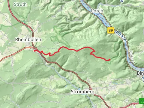 Rheinbollerhutte to Forsthaus Jagerhaus Walk via Kandrich