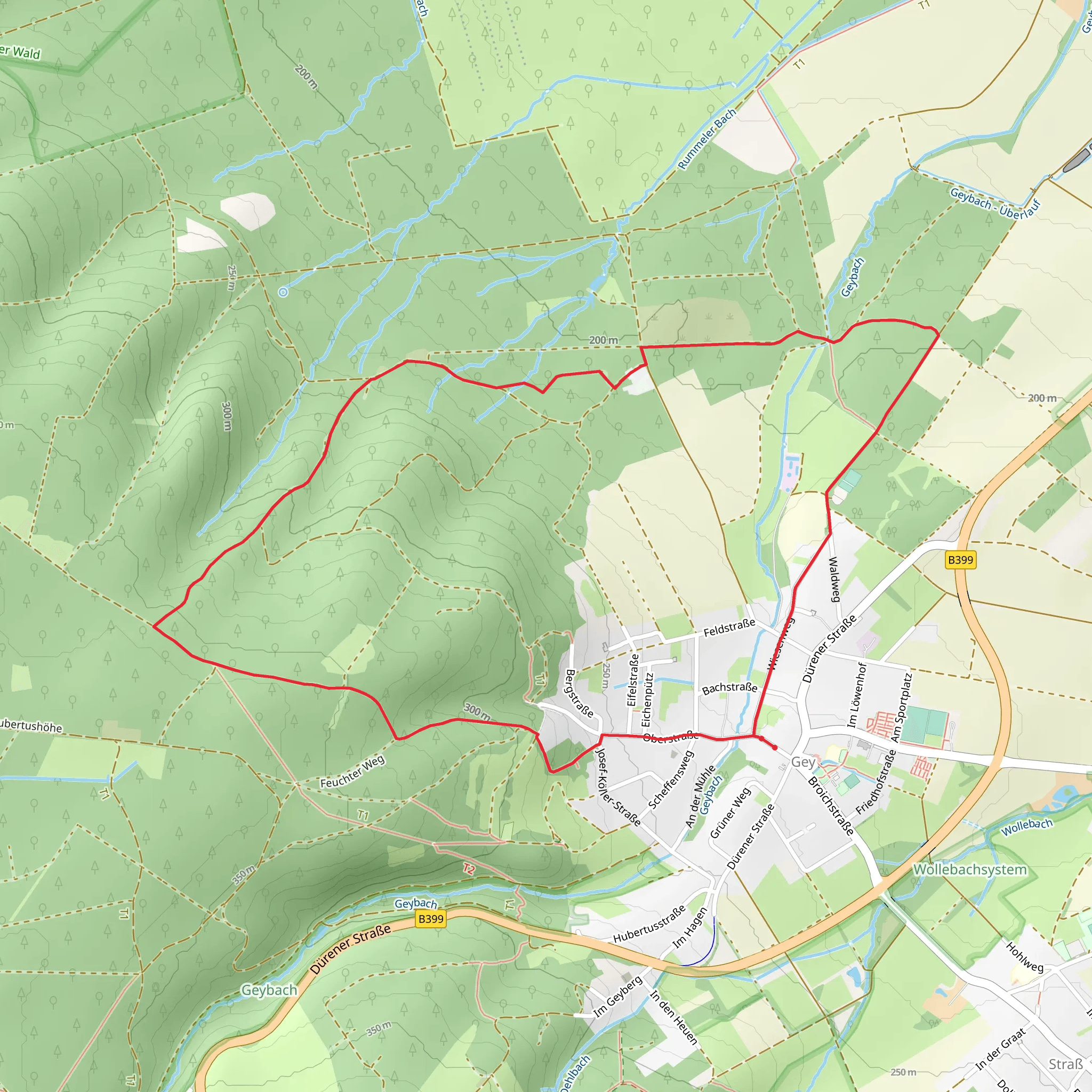 Hochwaldweg Loop - Gey mobile static map