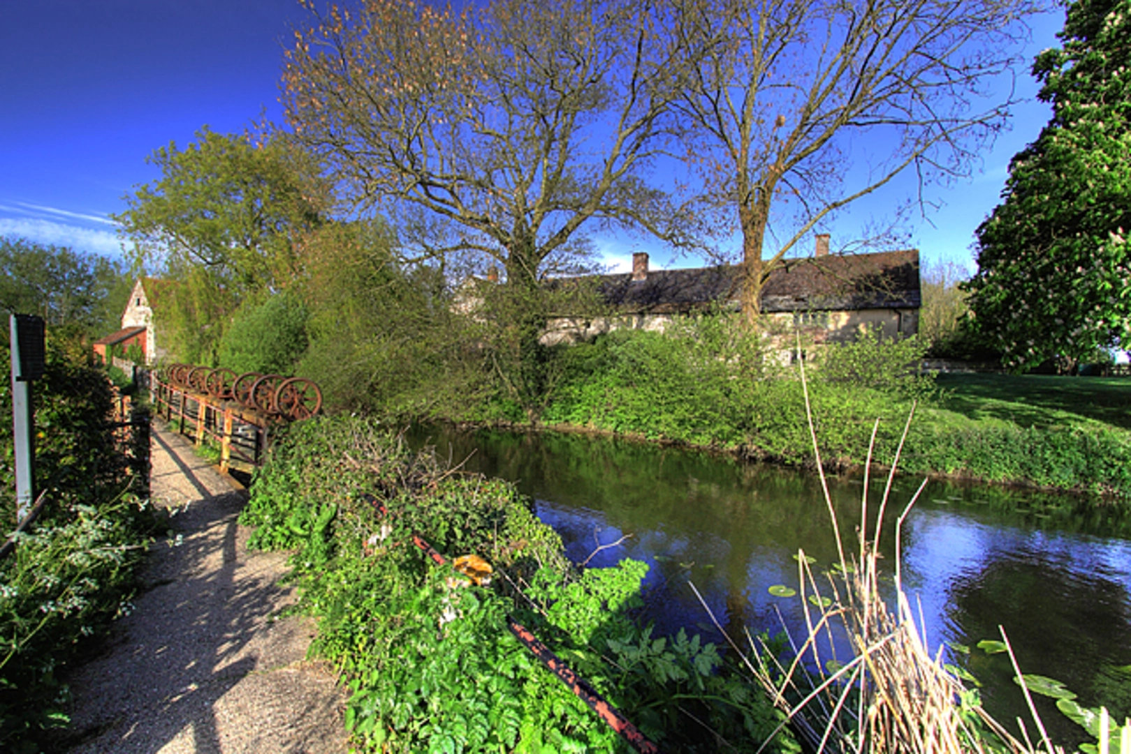 An image depicting the trail Fiddleford Manor Loop and its surrounding area.