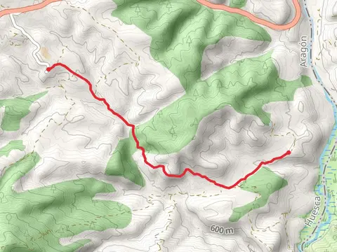 Parsnip - Bunk Bed PR HU 205