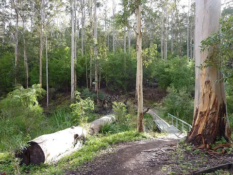 Pumphill Uphill Walk