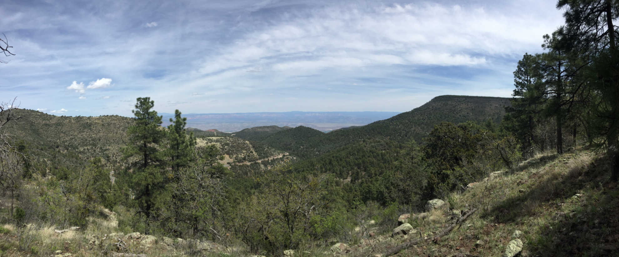 An image depicting the trail Wood Tank Trail and its surrounding area.