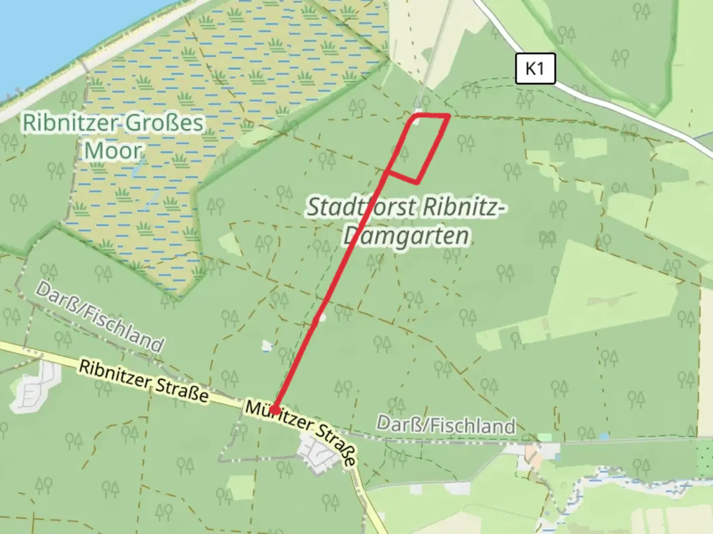 An image depicting the trail Fischländer Weg Out and Back and its surrounding area.
