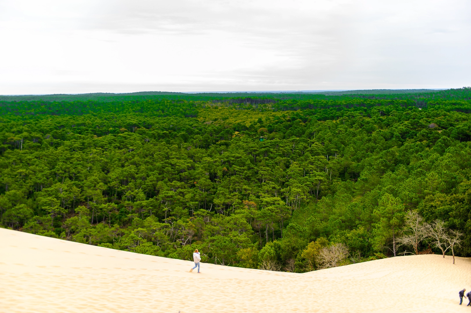 An image depicting the trail Dune Du Pilat and its surrounding area.