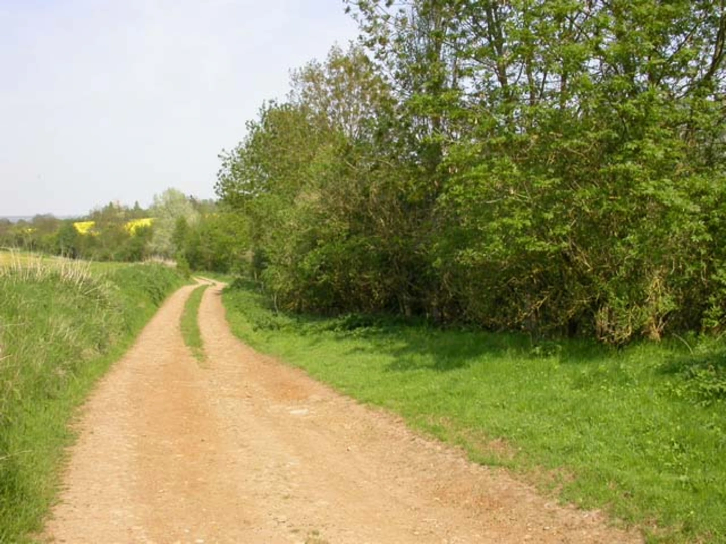 An image depicting the trail Brafield on the Green and Whiston Loop via River Nene and its surrounding area.